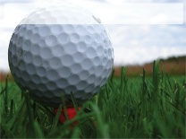 Blank Golf GolfBall