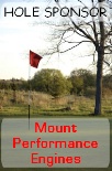 Golf Tee Red Flag
