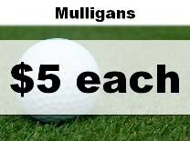 Mulligans Ball in Grass