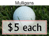 Mulligans Ball in grass