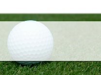 Blank Golf Ball in Grass