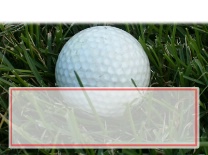 Blank Golf Ball in grass