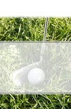 Blank Golf Ball in Grass