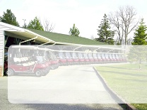 Blank Golf Golf Carts