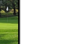 Blank Golf Flag In Grass