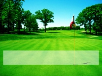 Blank Golf Open Green.jpg