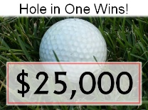 Hole in One Ball in grass