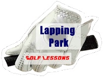 Step Stakes with Golf Golf Lessons.jpg