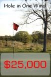 Hole in One Red Flag